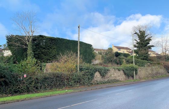 Ref: 647 Land for sale in Newton Abbot photo