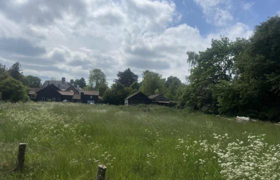 Land for sale in Thorndon photo
