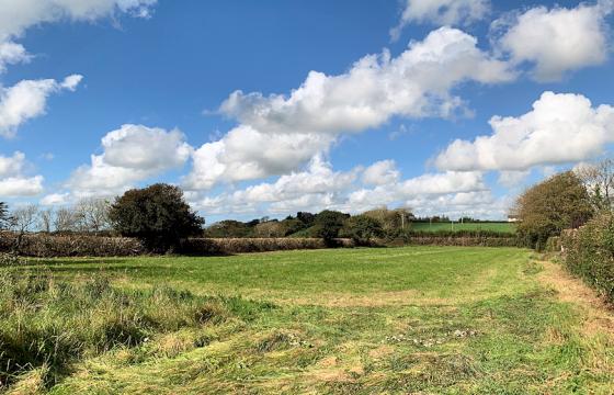 Ref: 419 Land for sale in Chilsworthy photo