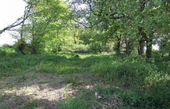 Under Offer, Conversion for sale in Chulmleigh photo