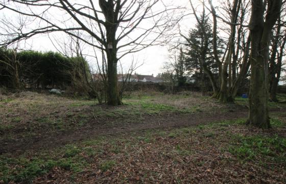 Land for sale in New Gilston photo