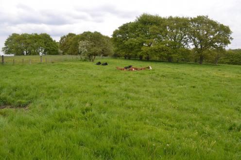 Land for sale in Chorley photo