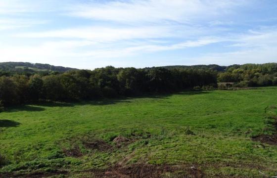 Land for sale in Newcastle photo