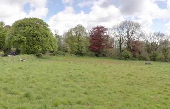 Land for sale in Holsworthy photo