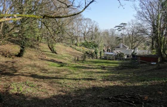 Land for sale in Paignton photo