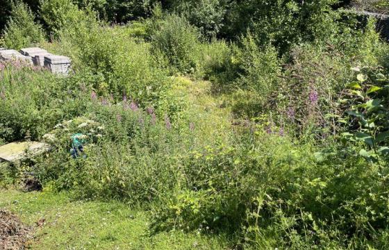 Land for sale in Lanark photo