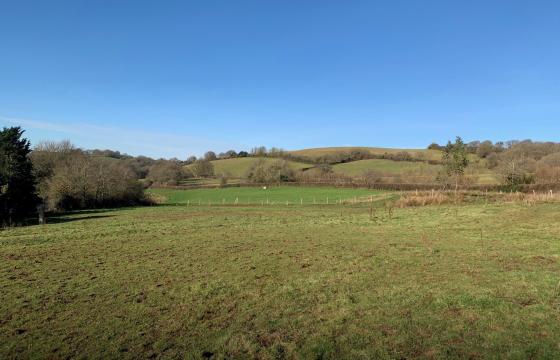 Ref: 846 Land for sale in NORTH TAWTON photo