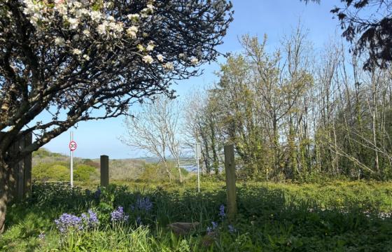 A freehold building plot in Torpoint photo