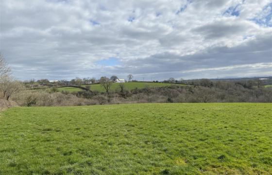 Land for sale in Holsworthy photo