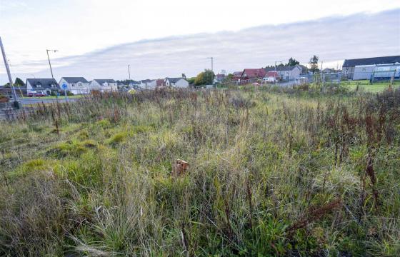 Land for sale in California photo