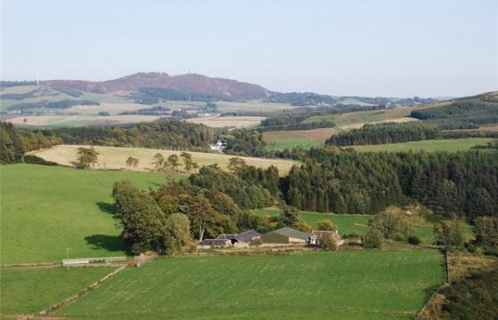 Land for sale in Lundie photo