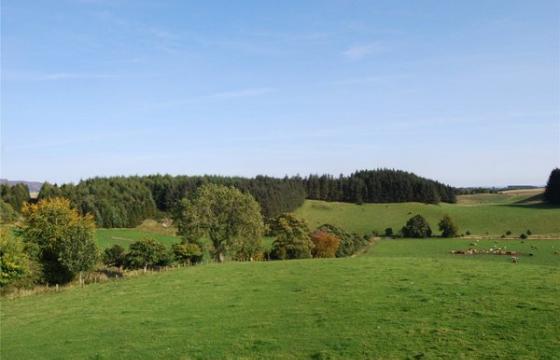 Under Offer, Land for sale in Lundie photo