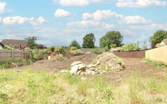 Building Plot in Manea photo