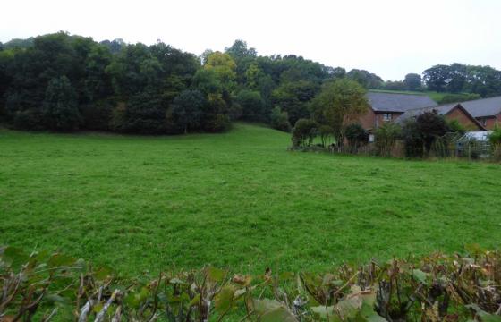 Land for sale in Welshpool photo