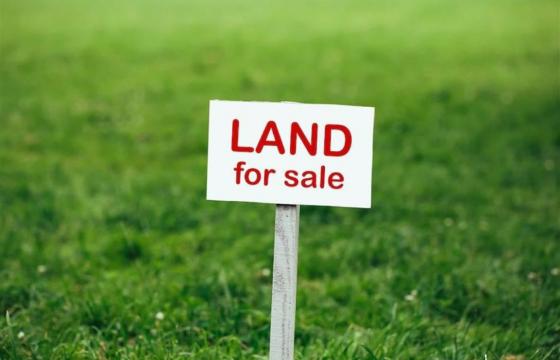 Land for sale in Cridling Stubbs photo