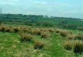 Land - No PP for sale in Chilsworthy photo