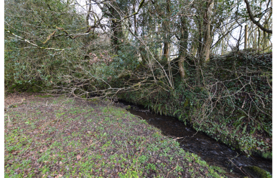 Land - No PP for sale in Throwleigh photo