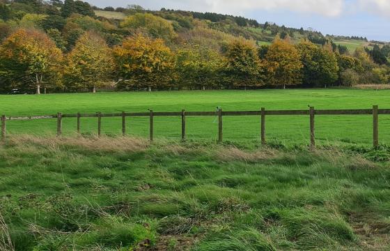 Plot with PP for sale in Lyminge photo