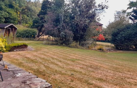 Multiple Plot for sale in Hughenden Valley photo