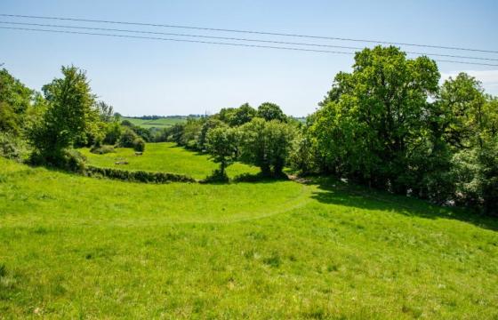 Land for sale in Dulverton photo