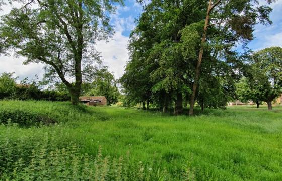 Land for sale in Rugby photo