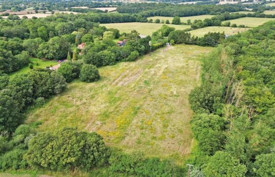 Freehold site in Chelmsford photo