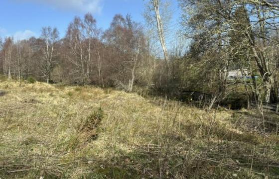 Land for sale in Errogie photo
