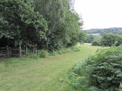 Land - No PP for sale in Ticehurst photo
