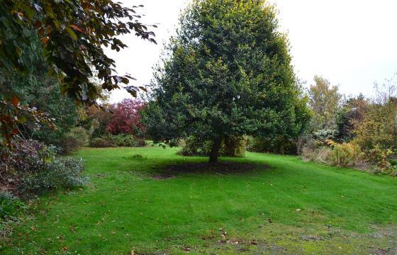 Land for sale in Leominster photo