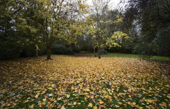 Land for sale in Louth photo