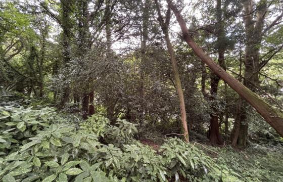 Land for sale in Truro photo