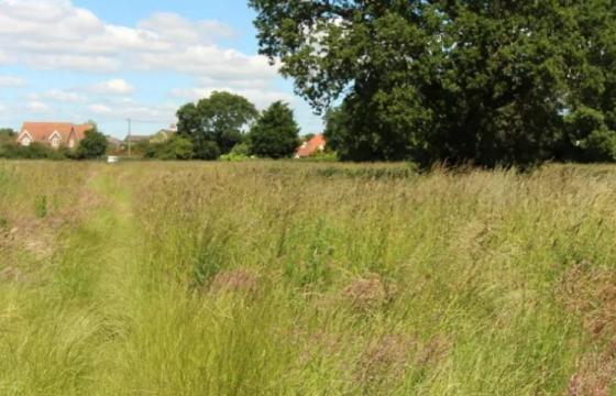 Land for sale in Little Clacton photo