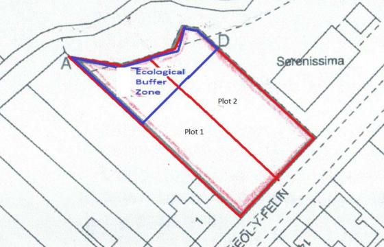 Building Plot in Ammanford photo