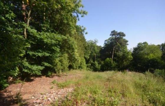 Under Offer, Land for sale in Farnham photo