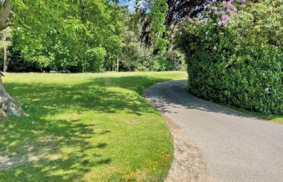 Development potential in PETWORTH photo