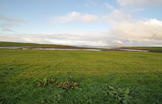 Land for sale in St Andrews photo