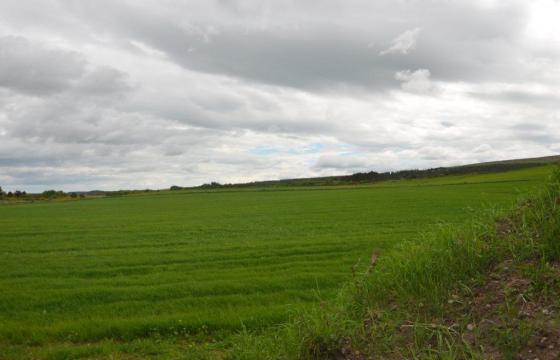 Land for sale in Elgin photo