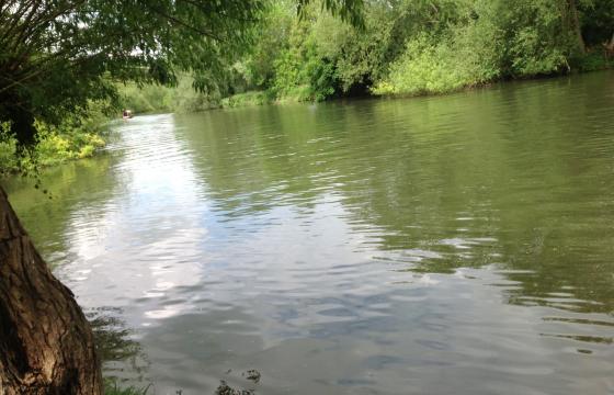 Land - No PP for sale in Goring photo