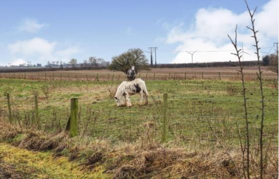 Land for sale in Doncaster photo