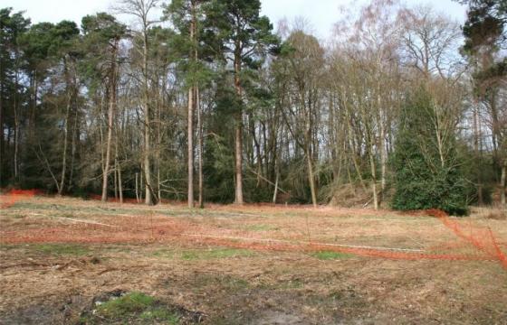Land for sale in Surrey photo