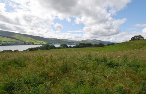 Land for sale in Aberfeldy photo