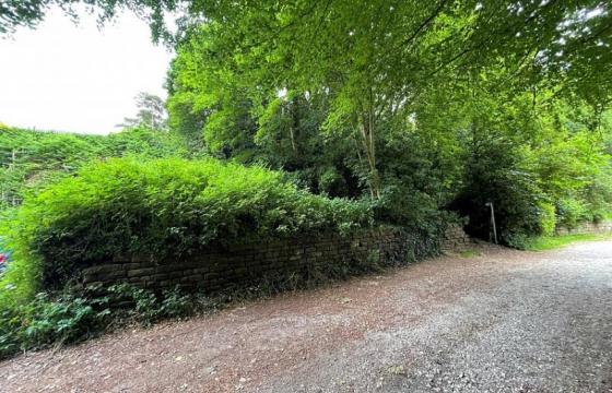 Land for sale in Frodsham photo
