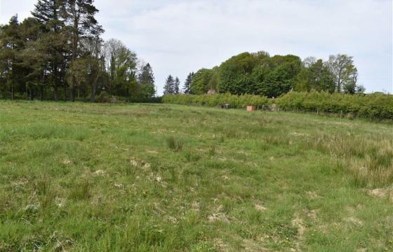 Land for sale in Llanybydder photo