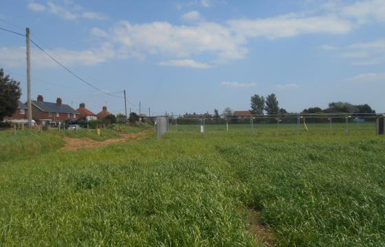 Plot with PP for sale in Pentney photo