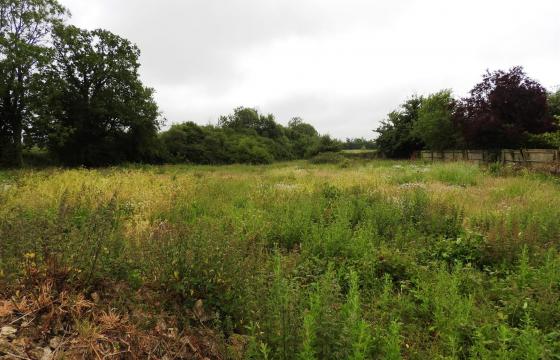Land for sale in Towcester photo