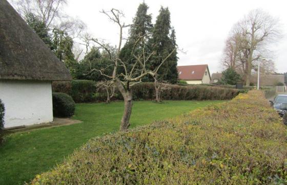 Plot with PP for sale in Roxton photo