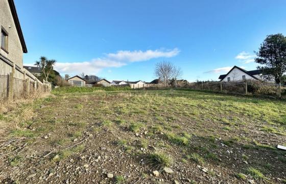 Land for sale in Douglas photo