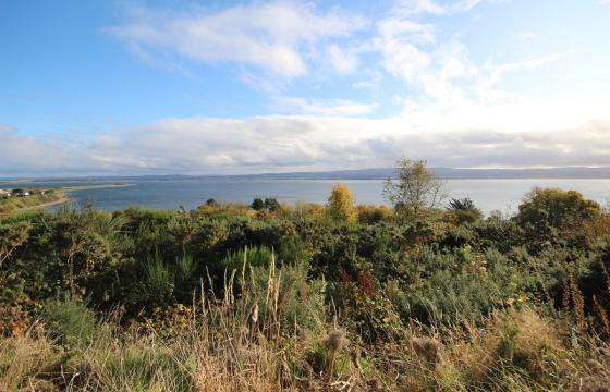 Land for sale in Fortrose photo
