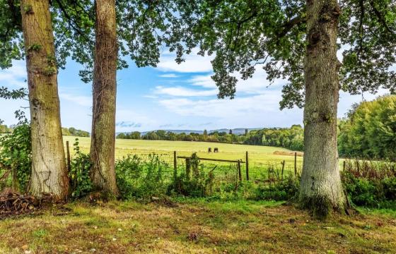 Building plot in Edenbridge photo