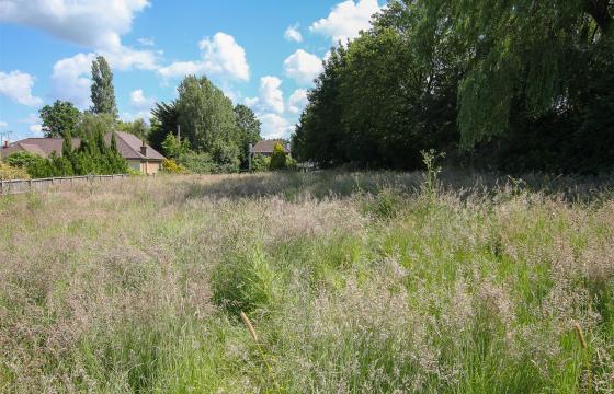 Land for sale in Stapleford Abbotts photo